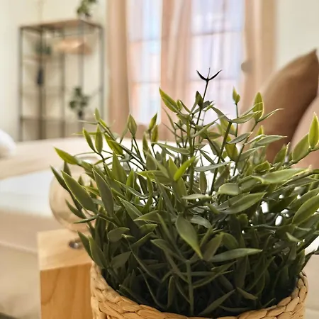 Piso Reformado Con Historia En Cada Rincon-vive Xiv Apartamento *