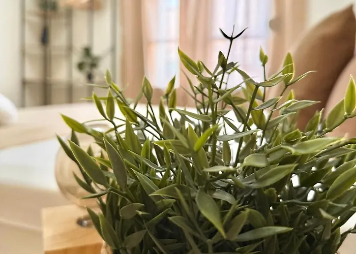 Piso Reformado Con Historia En Cada Rincon-vive Xiv Apartamento *